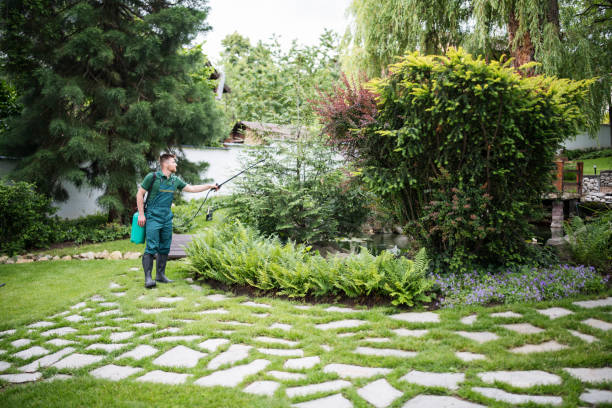 Best Residential Pest Control  in Lake Elmo, MN