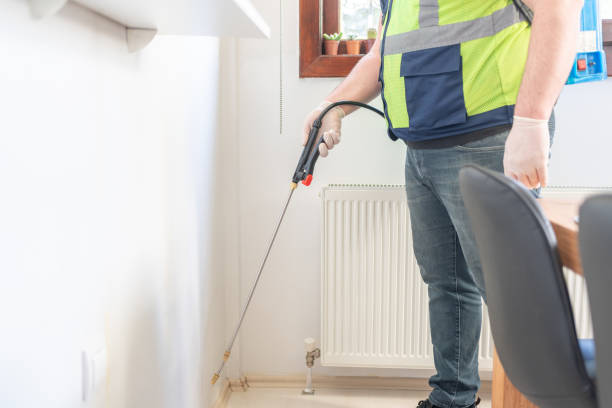 Wasp Removal Services in Lake Elmo, MN