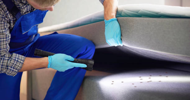 Best Pest Prevention Services  in Lake Elmo, MN