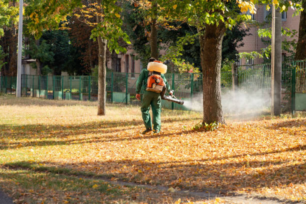 Best Pest Prevention Services  in Lake Elmo, MN